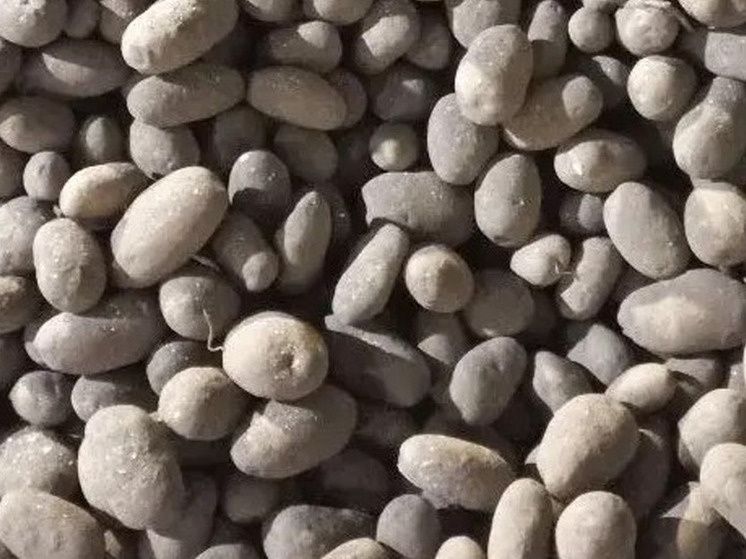 ������������ �������� ��������� ��������� � ������ �� �����