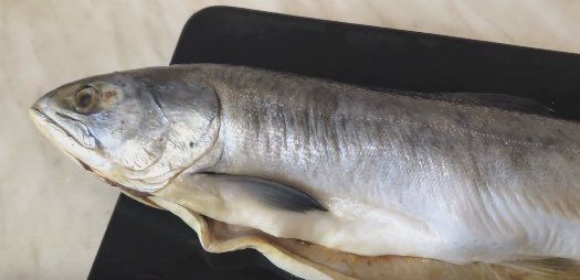 ��� ����������� ����������� ������� � �������