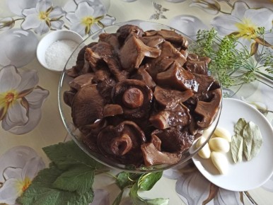 Свинушки: секреты обработки и вкусного маринования грибов