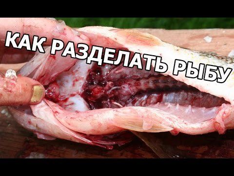 ��� ������ ��������� ���� � �������� ������