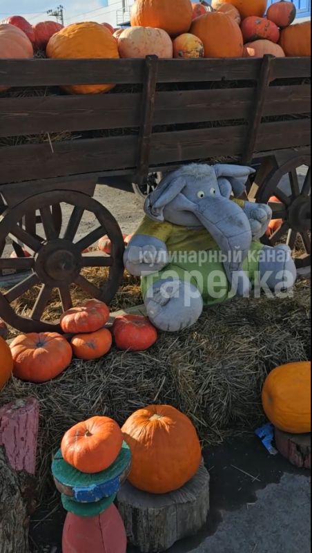 ��� ������������ ��� ����� �������� ��������� � ����� �������