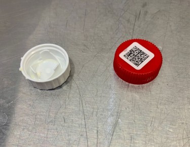 ������ ����������� ������ � ����� ����� ����: ����������� ������ �������