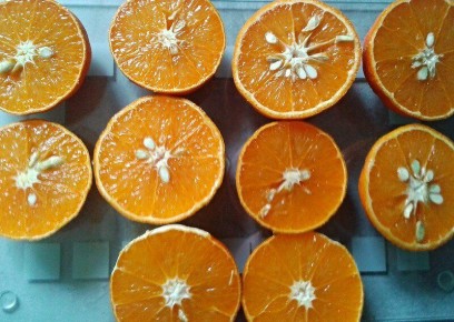 Витамины: какой витамин D выбрать и как не навредить здоровью