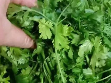 ������� ������ ��������� ������: ���� ������� �������� ��������� ���������� �����