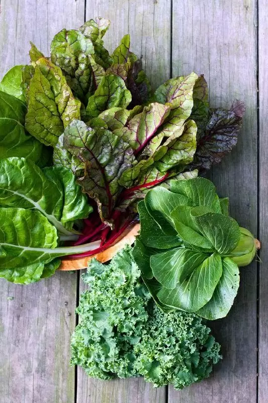 Новые горизонты зелени