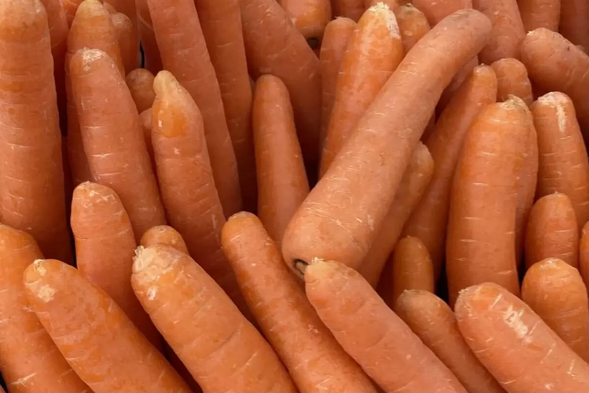 Сыроедение: кому стоит избегать этого метода питания