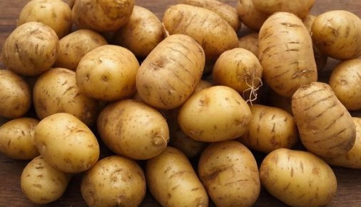 ��� ��������� ����������� ��������� � ������: ������ ��� ���������