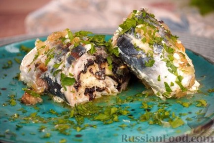 ����� ��������� ������ ���������