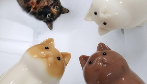 �������� �� 10 �����: ��������� ������ �� ��������� ������