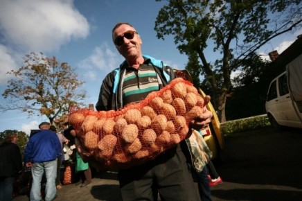 ��� �� ���������: ��� ������� ������ ������ �� ����� 2025 ����