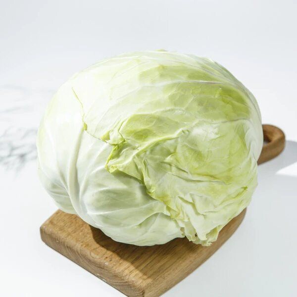 ������ ���������� ���������: ������� � ������� ����