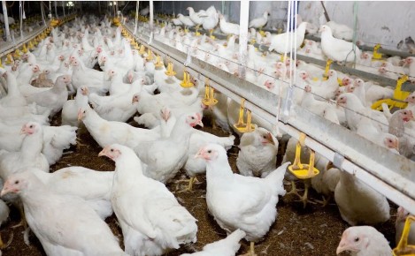 ������� ������� ���������� ���: ����� �� ��������� ���� �������� �����?