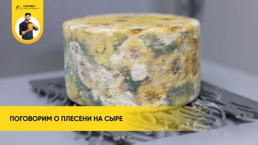 ������� �� ����: ����� ����� ����������� � ��� � ���� ������