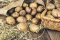 Тайны успеха: как старинные методы с солью помогут вам вырастить картофель на ура